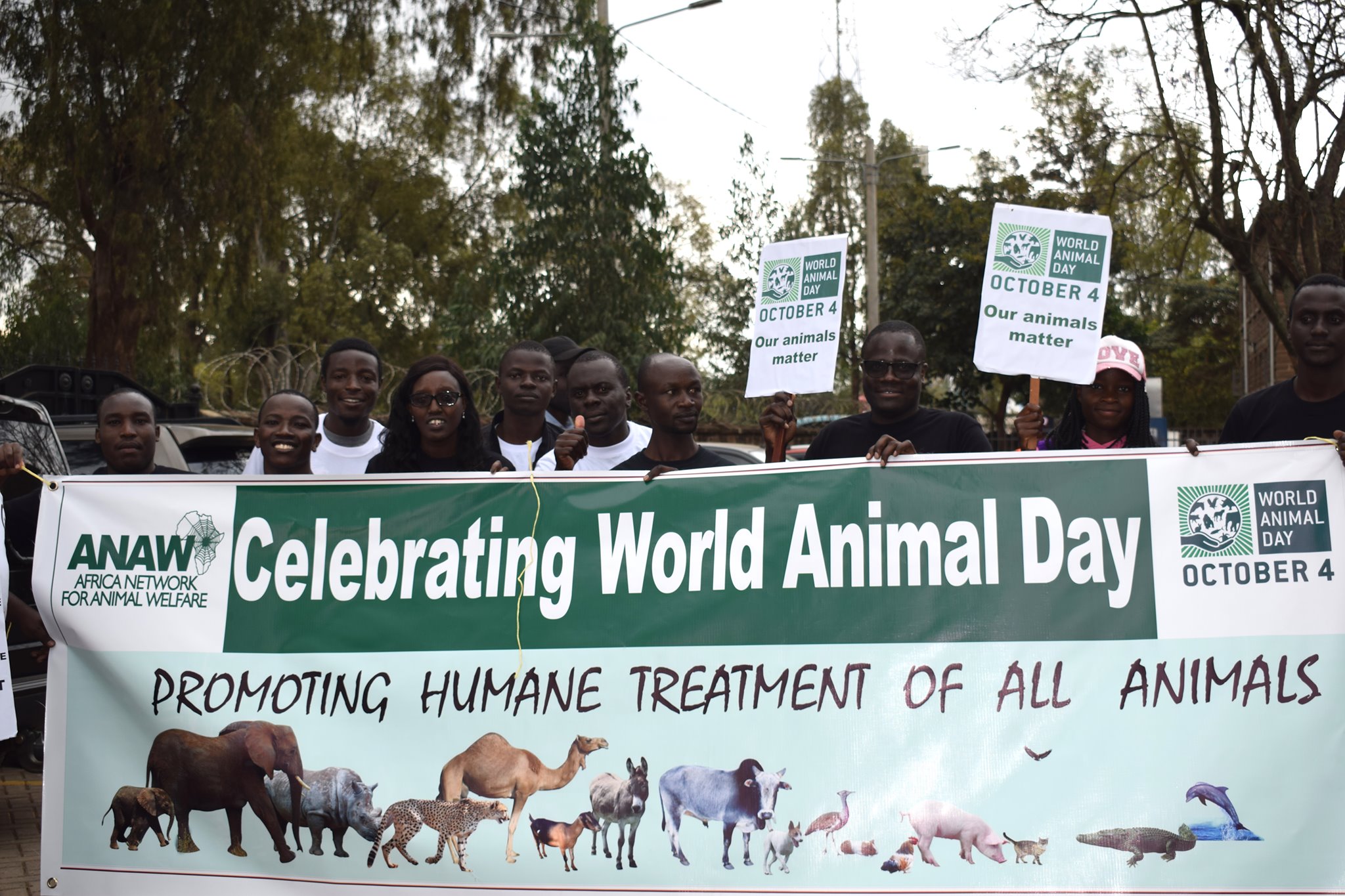 Support the World Animal Day Grant to help 1,000 donkeys and 4,000 dogs ...