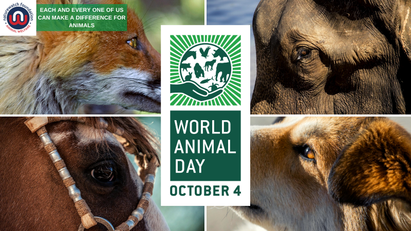 Be part of the movement and support World Animal Day | Naturewatch  Foundation